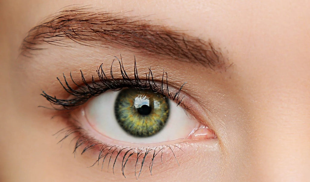 Seeing Beyond the Eye